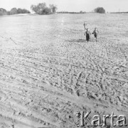 1961, Kadzidło, Polska.
Dzieci biegnące przez pole. 
Fot. Irena Jarosińska, zbiory Ośrodka KARTA
