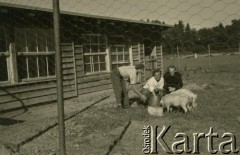 1941, Pfäffikon, Szwajcaria.
Żołnierze 6. Kresowego Pułku Strzelców Pieszych podczas dokarmiania świń w zagrodzie obozowej.
Fot. NN, zbiory Ośrodka KARTA, album przekazała Wanda Klenczon
