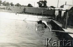 Przed 1939, prawdopodobnie Lwów, Polska.
Tadeusz Kukla skacze do wody.
Fot. NN, album Tadeusza Kukli, zbiory Biblioteki Polskiej im. Ignacego Domeyki w Buenos Aires (Biblioteca Polaca Ignacio Domeyko)