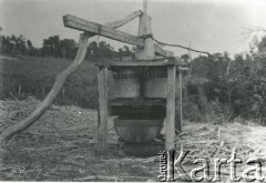 1928, prowincja Misiones, Argentyna.
Urządzenie rolnicze
Fot. Stanisław Pyzik, zbiory Biblioteki Polskiej im. Ignacego Domeyki w Buenos Aires (Biblioteca Polaca Ignacio Domeyko)