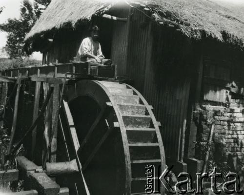 1928, prowincja Misiones, Argentyna.
Młyn wodny.
Fot. Stanisław Pyzik, zbiory Biblioteki Polskiej im. Ignacego Domeyki w Buenos Aires (Biblioteca Polaca Ignacio Domeyko)
