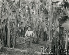 1928, prowincja Misiones, Argentyna.
Chłopiec na plantacji bananów.
Fot. Stanisław Pyzik, zbiory Biblioteki Polskiej im. Ignacego Domeyki w Buenos Aires (Biblioteca Polaca Ignacio Domeyko)