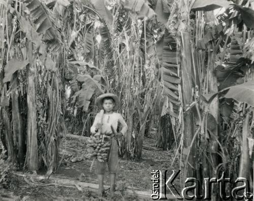 1928, prowincja Misiones, Argentyna.
Chłopiec na plantacji bananów.
Fot. Stanisław Pyzik, zbiory Biblioteki Polskiej im. Ignacego Domeyki w Buenos Aires (Biblioteca Polaca Ignacio Domeyko)