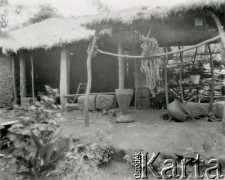 1928, Misiones, Argentyna
W gospodarstwie Polaków.
Fot. Stanisław Pyzik, Biblioteka Polska im. Ignacego Domeyki