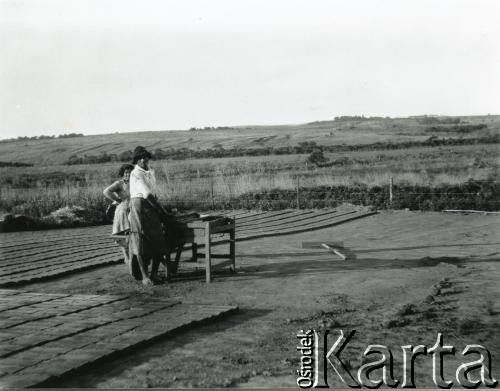 1928, Misiones, Argentyna
Wypalanie cegieł.
Fot. Stanisław Pyzik, Biblioteka Polska im. Ignacego Domeyki