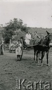 1928, Misiones, Argentyna
Typowy kreolski wóz dwukołowy
Fot. Stanisław Pyzik, Biblioteka Polska im. Ignacego Domeyki