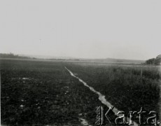 1928, Misiones, Argentyna
Krajobraz Misiones
Fot. Stanisław Pyzik, Biblioteka Polska im. Ignacego Domeyki