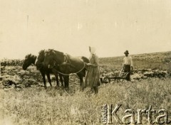 Początek XX wieku, Argentyna.
Polscy osadnicy.
Fot. NN, zbiory Biblioteki Polskiej im. Ignacego Domeyki w Buenos Aires (Biblioteca Polaca Ignacio Domeyko)