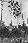 Lata 50., okolice Buenos Aires, Argentyna.
Nieznana grupa ludzi. Fotografia wykonana przez Marię Świeczewską lub jej męża Karola. Oboje po wojnie wyemigrowali do Argentyny. Małżeństwo przyjaźniło się z pisarzem Witoldem Gombrowiczem.
Fot. NN, kolekcja Marii Świeczewskiej-Wańke, zbiory Biblioteki Polskiej im. Ignacego Domeyki w Buenos Aires (Biblioteca Polaca Ignacio Domeyko), reprodukcje cyfrowe w Ośrodku KARTA w Warszawie