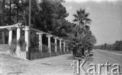 Lata 50., okolice Buenos Aires, Argentyna.
Nieznana kobieta w czasie wycieczki rowerowej. Fotografia wykonana przez Marię Świeczewską lub jej męża Karola. Oboje po wojnie wyemigrowali do Argentyny. Małżeństwo przyjaźniło się z pisarzem Witoldem Gombrowiczem.
Fot. NN, kolekcja Marii Świeczewskiej-Wańke, zbiory Biblioteki Polskiej im. Ignacego Domeyki w Buenos Aires (Biblioteca Polaca Ignacio Domeyko), reprodukcje cyfrowe w Ośrodku KARTA w Warszawie