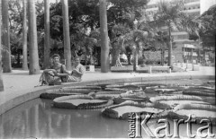 Lata 40., Rio de Janeiro, Brazylia.
Maria Świeczewska (po lewej) z nieznaną kobietą. Fotografia wykonana przez jej męża Marii - Karola. Oboje po wojnie wyemigrowali do Argentyny. Małżeństwo przyjaźniło się z pisarzem Witoldem Gombrowiczem.
Fot. Karol Świeczewski, kolekcja Marii Świeczewskiej-Wańke, zbiory Biblioteki Polskiej im. Ignacego Domeyki w Buenos Aires (Biblioteca Polaca Ignacio Domeyko), reprodukcje cyfrowe w Ośrodku KARTA w Warszawie