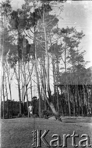 Po 1945, brak miejsca.
Chłopiec nad morzem. Fotografia wykonana przez Marię Świeczewską lub jej męża Karola. Oboje po wojnie wyemigrowali do Argentyny. Małżeństwo przyjaźniło się z pisarzem Witoldem Gombrowiczem.
Fot. NN, kolekcja Marii Świeczewskiej-Wańke, zbiory Biblioteki Polskiej im. Ignacego Domeyki w Buenos Aires (Biblioteca Polaca Ignacio Domeyko), reprodukcje cyfrowe w Ośrodku KARTA w Warszawie