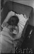 Lata 40., Europa.
Dziecko w wózku. Fotografia wykonana przez Marię Świeczewską lub jej męża Karola. Oboje po wojnie wyemigrowali do Argentyny. Małżeństwo przyjaźniło się z pisarzem Witoldem Gombrowiczem.
Fot. NN, kolekcja Marii Świeczewskiej-Wańke, zbiory Biblioteki Polskiej im. Ignacego Domeyki w Buenos Aires (Biblioteca Polaca Ignacio Domeyko), reprodukcje cyfrowe w Ośrodku KARTA w Warszawie