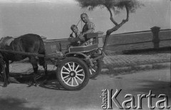 Po 1945, brak miejsca.
Chłopiec z mężczyzną w powozie. Fotografia wykonana przez Marię Świeczewską lub jej męża Karola. Oboje po wojnie wyemigrowali do Argentyny. Małżeństwo przyjaźniło się z pisarzem Witoldem Gombrowiczem.
Fot. NN, kolekcja Marii Świeczewskiej-Wańke, zbiory Biblioteki Polskiej im. Ignacego Domeyki w Buenos Aires (Biblioteca Polaca Ignacio Domeyko), reprodukcje cyfrowe w Ośrodku KARTA w Warszawie