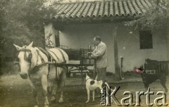 Brak daty, brak miejsca.
Fotografia rodzinna generała Jana Kruszewskiego.
Fot. NN, kolekcja Jana Kruszewskiego, zbiory  Archiwum Ojców Franciszkanów w Polskiej Misji Katolickiej w Martin Coronado, reprodukcje cyfrowe w  Bibliotece Polskiej im. Ignacego Domeyki w Buenos Aires (Biblioteca Polaca Ignacio Domeyko) i w Ośrodku KARTA w Warszawie