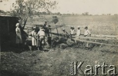 Brak daty, brak miejsca.
Prace rolne.
Fot. NN, kolekcja Zofii i Alojzego Brudzińskich, zbiory  Archiwum Ojców Franciszkanów w Polskiej Misji Katolickiej w Martin Coronado, reprodukcje cyfrowe w  Bibliotece Polskiej im. Ignacego Domeyki w Buenos Aires (Biblioteca Polaca Ignacio Domeyko) i w Ośrodku KARTA w Warszawie