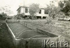 Lata 50., Wanda, Misiones, Argentyna.
Przydomowa plantacja yerby, przygotowane rusztowanie pod sadzonki.
Fot. NN, zbiory Stowarzyszenia Polsko-Argentyńskiego w Wandzie, reprodukcje cyfrowe w  Bibliotece Polskiej im. Ignacego Domeyki w Buenos Aires (Biblioteca Polaca Ignacio Domeyko) i w Ośrodku KARTA w Warszawie