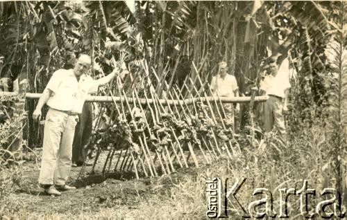 Lata 50., Misiones, Argentyna.
Przygotowywanie posiłku na uroczystość 25-lecia Kolonii Lanusse. (asado).
Fot. NN, zbiory Stowarzyszenia Polsko-Argentyńskiego w Wandzie, reprodukcje cyfrowe w  Bibliotece Polskiej im. Ignacego Domeyki w Buenos Aires (Biblioteca Polaca Ignacio Domeyko) i w Ośrodku KARTA w Warszawie