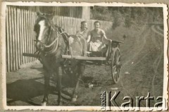 Lata 30., Misiones, Argentyna.
Bryczka. Popularny środek transportu wśród mieszkańców kolonii.
Fot. NN, zbiory Stowarzyszenia Polsko-Argentyńskiego w Wandzie, reprodukcje cyfrowe w  Bibliotece Polskiej im. Ignacego Domeyki w Buenos Aires (Biblioteca Polaca Ignacio Domeyko) i w Ośrodku KARTA w Warszawie