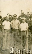 Lata 30., Gobernador Lanusse, Misiones, Argentyna.
Od lewej: Ladislao Kryszycha, Luciano Jeleń i Roman Kryszycha.
Fot. NN, zbiory Stowarzyszenia Polsko-Argentyńskiego w Wandzie,  reprodukcje cyfrowe w  Bibliotece Polskiej im. Ignacego Domeyki w Buenos Aires (Biblioteca Polaca Ignacio Domeyko) i w Ośrodku KARTA w Warszawie