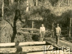Lata 40., Gobernador Lanusse, Misiones, Argentyna.
Robotnicy Colonizadory del Norte pracujący przy wycince drzew w Selvie.
Fot. NN, zbiory Stowarzyszenia Polsko-Argentyńskiego w Wandzie, udostępniła Maria Jejer, reprodukcje cyfrowe w  Bibliotece Polskiej im. Ignacego Domeyki w Buenos Aires (Biblioteca Polaca Ignacio Domeyko) i w Ośrodku KARTA w Warszawie