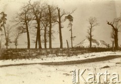 Lata 20., Polska.
Zimowy krajobraz.
Fot. z albumu porucznika Jana Obłoczyńskiego z Batalionu Chemicznego WP, zbiory Ośrodka KARTA, przekazała Jolanta Wolszczynin.