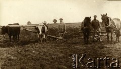 Lata 20., Polska.
Prace polowe.
Fot. z albumu porucznika Jana Obłoczyńskiego z Batalionu Chemicznego WP, zbiory Ośrodka KARTA, przekazała Jolanta Wolszczynin.
