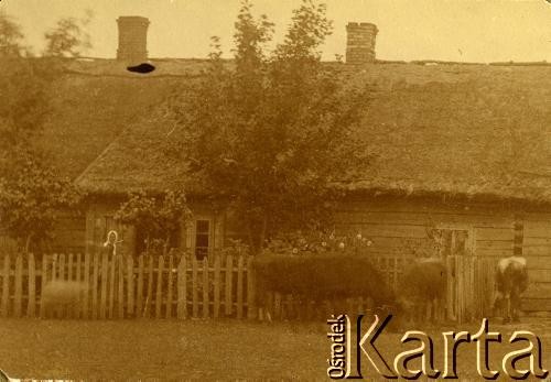 Lata 20., Polska.
Wiejskie zabudowania.
Fot. z albumu porucznika Jana Obłoczyńskiego z Batalionu Chemicznego WP, zbiory Ośrodka KARTA, przekazała Jolanta Wolszczynin.