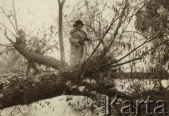 Lata 20., Polska.
Kobieta w parku.
Fot. z albumu porucznika Jana Obłoczyńskiego z Batalionu Chemicznego WP, zbiory Ośrodka KARTA, przekazała Jolanta Wolszczynin.