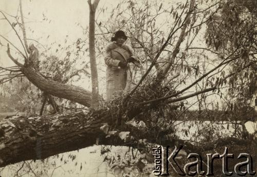 Lata 20., Polska.
Kobieta w parku.
Fot. z albumu porucznika Jana Obłoczyńskiego z Batalionu Chemicznego WP, zbiory Ośrodka KARTA, przekazała Jolanta Wolszczynin.