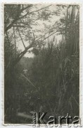 Po 1948, Argentyna.
W lesie.
Fot. NN, udostępniła Jolanta Wolszczynin.