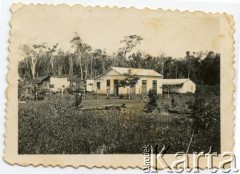 Lata 30., Polana, Misiones, Argentyna. 
Polska kolonia założona w 1932 roku.
Fot. NN, zbiory Juana Carlosa Rodrigueza, reprodukcje cyfrowe w  Bibliotece Polskiej im. Ignacego Domeyki w Buenos Aires (Biblioteca Polaca Ignacio Domeyko) i w Ośrodku KARTA w Warszawie