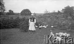 1.09.1935, Drohiczówka, Polska.
Tekla z drobiem.
Fot. Anna Wielowieyska, udostępniła Maria Wielowieyska, reprodukcje cyfrowe w  Bibliotece Polskiej im. Ignacego Domeyki w Buenos Aires (Biblioteca Polaca Ignacio Domeyko) i w Ośrodku KARTA w Warszawie
