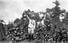12.08.1937, Drohiczówka, Polska.
W winnicy.
Fot. Anna Wielowieyska, udostępniła Maria Wielowieyska, reprodukcje cyfrowe w  Bibliotece Polskiej im. Ignacego Domeyki w Buenos Aires (Biblioteca Polaca Ignacio Domeyko) i w Ośrodku KARTA w Warszawie
