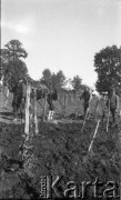 21.10.1937, Drohiczówka, Polska.
Prace w winnicy – oranie. 
Fot. Anna Wielowieyska, udostępniła Maria Wielowieyska, reprodukcje cyfrowe w  Bibliotece Polskiej im. Ignacego Domeyki w Buenos Aires (Biblioteca Polaca Ignacio Domeyko) i w Ośrodku KARTA w Warszawie
