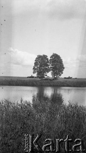 Lipiec-sierpień 1933, Okno, Polska.
Staw, w głębi widać prace rolne.
Fot. Anna Wielowieyska, udostępniła Maria Wielowieyska, reprodukcje cyfrowe w  Bibliotece Polskiej im. Ignacego Domeyki w Buenos Aires (Biblioteca Polaca Ignacio Domeyko) i w Ośrodku KARTA w Warszawie
