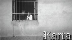 19.09.1927, Snopków, Polska.
Zula i Zosia – koleżanki Anny Wielowiejskiej (z domu Cieńskiej), uczennice Głównej Szkoły Gospodarczej Żeńskiej
Fot. Anna Wielowieyska, udostępniła Maria Wielowieyska, reprodukcje cyfrowe w  Bibliotece Polskiej im. Ignacego Domeyki w Buenos Aires (Biblioteca Polaca Ignacio Domeyko) i w Ośrodku KARTA w Warszawie
