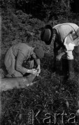 13.08.1928, Drohiczówka, Polska.
Stach z upolowaną sarną.
Fot. Anna Wielowieyska, udostępniła Maria Wielowieyska, reprodukcje cyfrowe w  Bibliotece Polskiej im. Ignacego Domeyki w Buenos Aires (Biblioteca Polaca Ignacio Domeyko) i w Ośrodku KARTA w Warszawie
