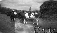 20.05.1928, Snopków, Polska.
Uczennice Głównej Szkoły Gospodarczej Żeńskiej.
Fot. Anna Wielowieyska, udostępniła Maria Wielowieyska, reprodukcje cyfrowe w  Bibliotece Polskiej im. Ignacego Domeyki w Buenos Aires (Biblioteca Polaca Ignacio Domeyko) i w Ośrodku KARTA w Warszawie
