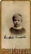 1905, Okno, woj. tarnopolskie, Polska.
Ludomir Cieński.
Fot. NN, zbiory Marii Wielowieyskiej Petrikorich, reprodukcje cyfrowe w Bibliotece Polskiej im. Ignacego Domeyki w Buenos Aires (Biblioteca Polaca Ignacio Domeyko) i w Ośrodku KARTA w Warszawie 



