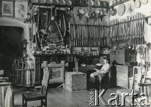 1911, Pieniaki, woj. tarnopolskie, Polska.
Ludomir w pokoju tatusia.
Fot. NN, zbiory Marii Wielowieyskiej Petrikorich, reprodukcje cyfrowe w Bibliotece Polskiej im. Ignacego Domeyki w Buenos Aires (Biblioteca Polaca Ignacio Domeyko) i w Ośrodku KARTA w Warszawie 



