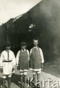 Początek XX wieku, Pieniaki, woj. tarnopolskie, Polska.
Włodzimierz, Ludomir i Stanisław Cieńscy.
Fot. NN, zbiory Marii Wielowieyskiej Petrikorich, reprodukcje cyfrowe w Bibliotece Polskiej im. Ignacego Domeyki w Buenos Aires (Biblioteca Polaca Ignacio Domeyko) i w Ośrodku KARTA w Warszawie 



