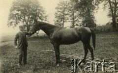 1900, Ludwipol, Polska.
Klacz 