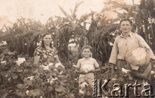 Lata 30., Kolonia Fram, prow. Itapúa, Paragwaj.
Rodzina Lachowski na swoim polu (chacra).
Fot. NN, zbiory Asociación Polaca de Posadas, udostępniła Fabiana Śniechowski, reprodukcje cyfrowe w Bibliotece Polskiej im. Ignacego Domeyki w Buenos Aires (Biblioteca Polaca Ignacio Domeyko) i w Ośrodku KARTA w Warszawie 



