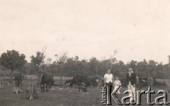 Lata 40., Kolonia Fram, prow. Itapúa, Paragwaj.
Rodzina Lachowski.
Fot. NN, zbiory Asociación Polaca de Posadas, udostępniła Fabiana Śniechowski, reprodukcje cyfrowe w Bibliotece Polskiej im. Ignacego Domeyki w Buenos Aires (Biblioteca Polaca Ignacio Domeyko) i w Ośrodku KARTA w Warszawie 



