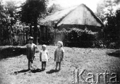 Lata 40., Apostoles, Misiones, Argentyna.
Dzieci rodziny Ryś.
Fot. NN, zbiory Asociación Polaca de Posadas, udostępniła Fabiana Śniechowski, reprodukcje cyfrowe w Bibliotece Polskiej im. Ignacego Domeyki w Buenos Aires (Biblioteca Polaca Ignacio Domeyko) i w Ośrodku KARTA w Warszawie 



