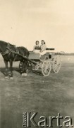 Lat 40., Cachuera, Misiones, Argentyna.
Powóz na terenie Amandy (przedsiębiorstwo produkujące yerbę mate i ryż, założone przez polskiego emigranta Juana Szychowskiego)
Fot. NN, zbiory rodziny Szychowskich, reprodukcje cyfrowe w Bibliotece Polskiej im. Ignacego Domeyki w Buenos Aires (Biblioteca Polaca Ignacio Domeyko) i w Ośrodku KARTA w Warszawie 
