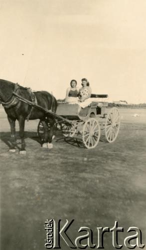 Lat 40., Cachuera, Misiones, Argentyna.
Powóz na terenie Amandy (przedsiębiorstwo produkujące yerbę mate i ryż, założone przez polskiego emigranta Juana Szychowskiego)
Fot. NN, zbiory rodziny Szychowskich, reprodukcje cyfrowe w Bibliotece Polskiej im. Ignacego Domeyki w Buenos Aires (Biblioteca Polaca Ignacio Domeyko) i w Ośrodku KARTA w Warszawie 

