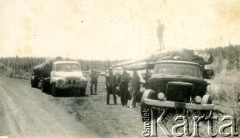 Lata 60., Wanda, Argentyna.
Wywózka drewna z lasu (selwy)
Fot. NN, udostępniła Maria Konert, reprodukcje cyfrowe w Bibliotece Polskiej im. Ignacego Domeyki w Buenos Aires (Biblioteca Polaca Ignacio Domeyko) i w Ośrodku KARTA w Warszawie 



