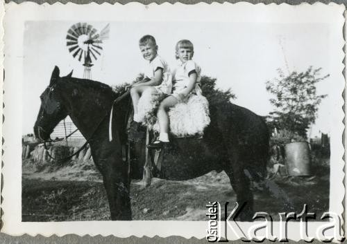 1960, Santa Rosa, Argentyna.
Susana i Daniel Zacharkowie - dzieci polskich emigrantów z Comodoro Rivadavia - w Pampie.
Fot. NN, zbiory Adeli Kozlowski i Eugeniusza Zacharko, reprodukcje cyfrowe w Bibliotece Polskiej im. Ignacego Domeyki w Buenos Aires (Biblioteca Polaca Ignacio Domeyko) i w Ośrodku KARTA w Warszawie.
